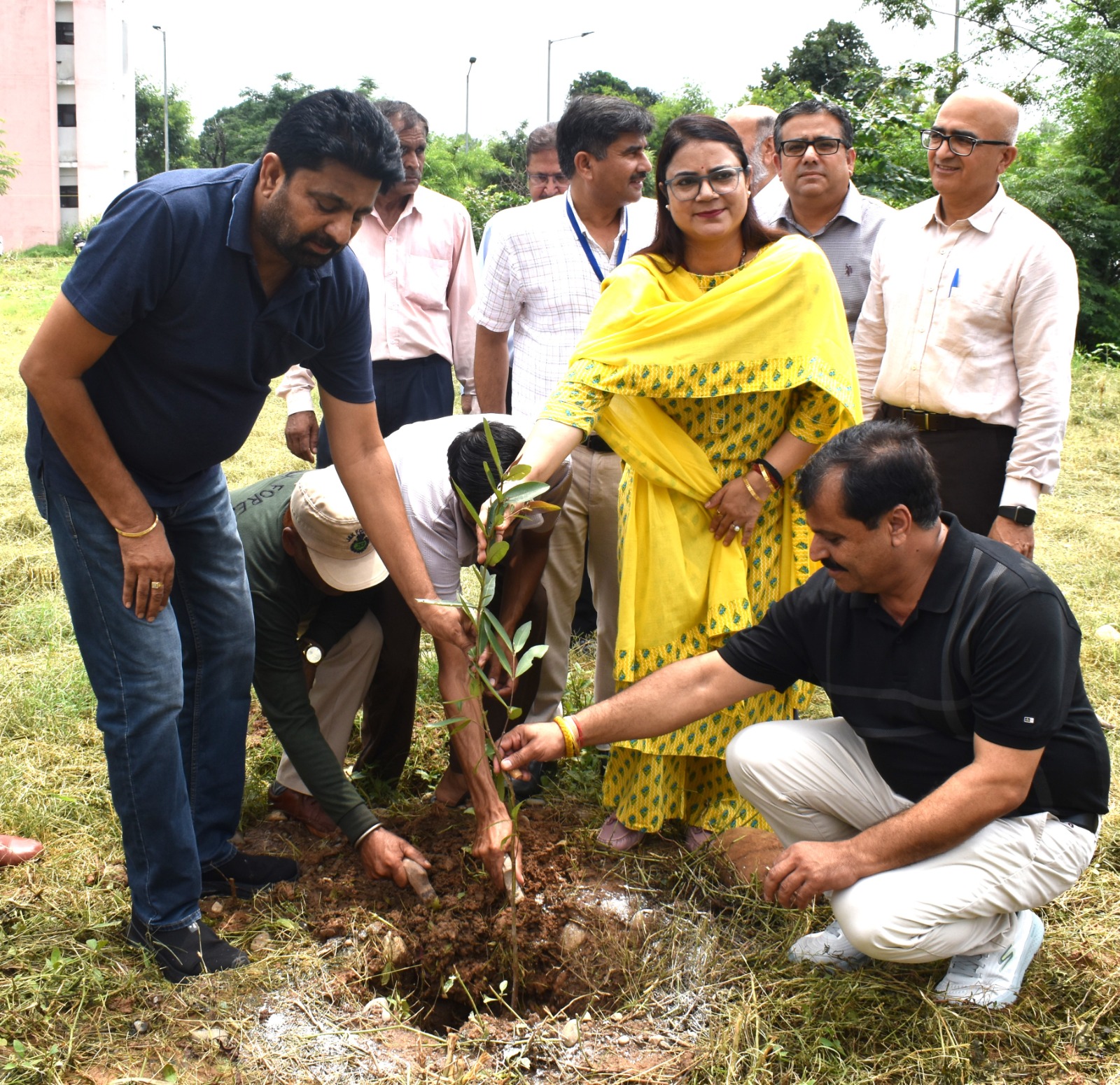 Plantation Drive